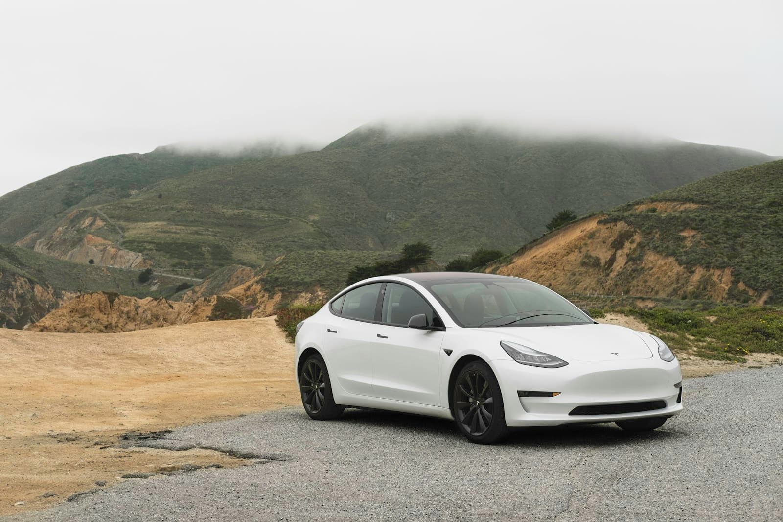 Tesla Model 3 Performance